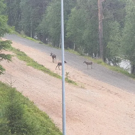 Holiday Lansirinne E 19 Huoneisto Kuusamo